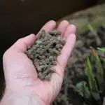 wool pellets 