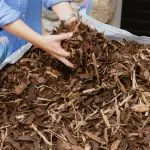 barck chippings near me