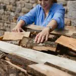 Alder logs