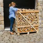 silver birch firewood logs