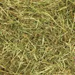 straw for rabbits and guinea pigs