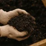 Garden compost