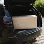 sawdust for pets